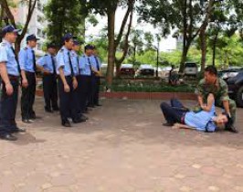 ĐÀO TẠO VÕ THUẬT